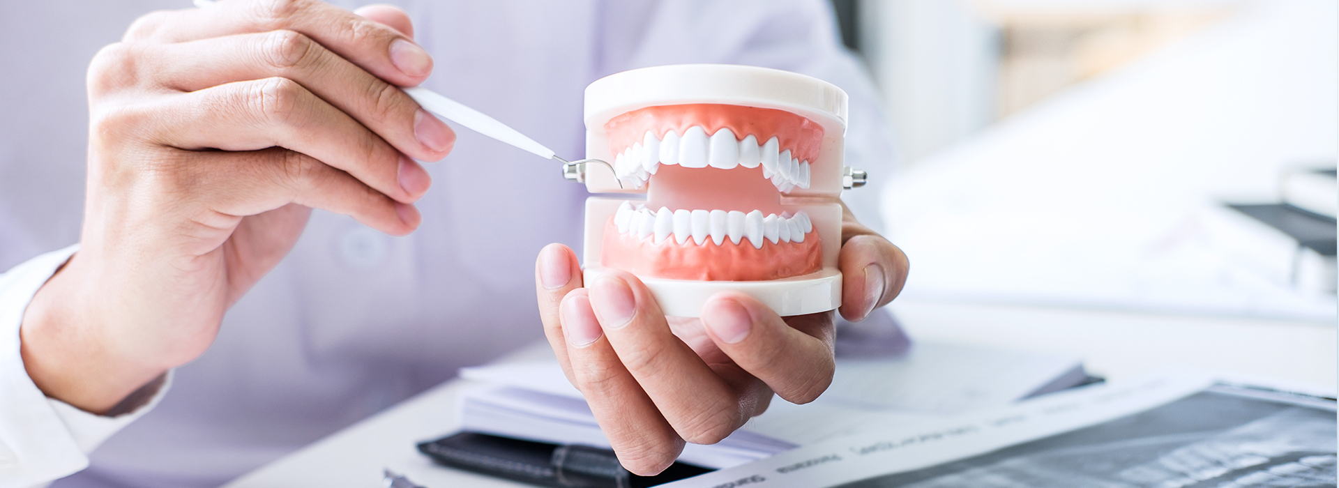 The image shows a person s hand holding a cup with a tooth model inside, which is placed on a table in front of the person who appears to be working at an office desk.